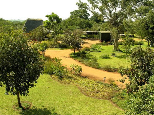 ليلونغوي Barefoot Safari Lodge المظهر الخارجي الصورة